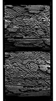 'Contact 1' • palladium print  •  7.5" x 27"